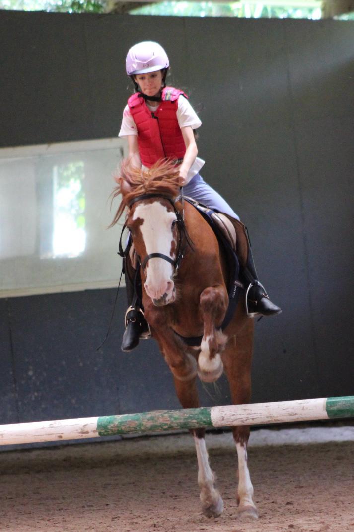 Salto de obstáculos 2