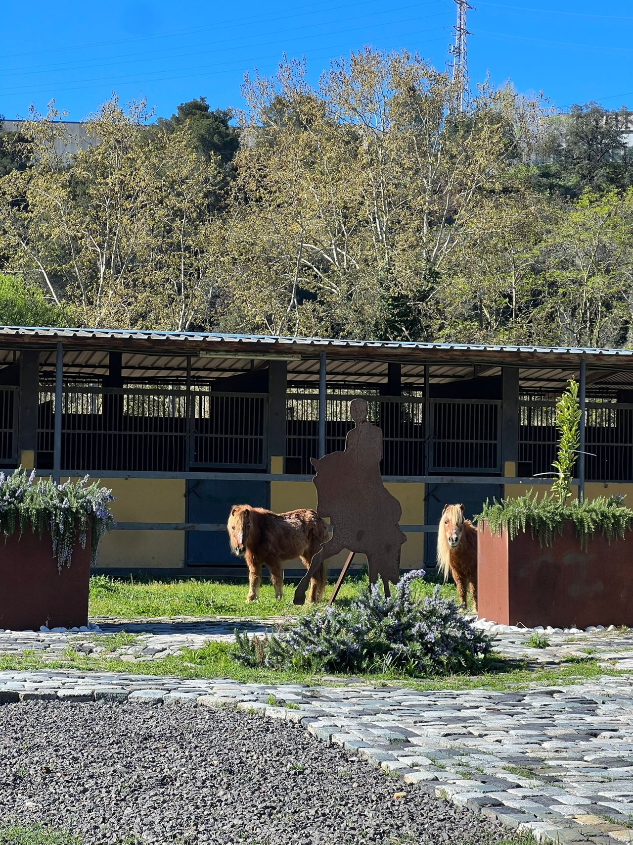 Otras actividades