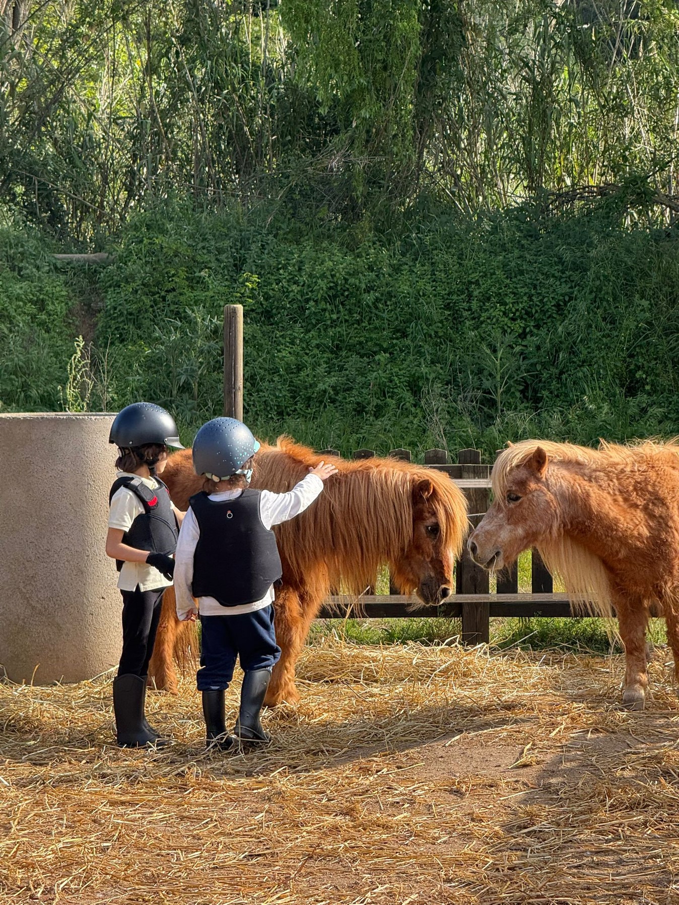 Poni Club 2