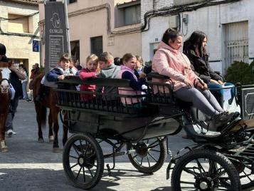 Salidas en carro