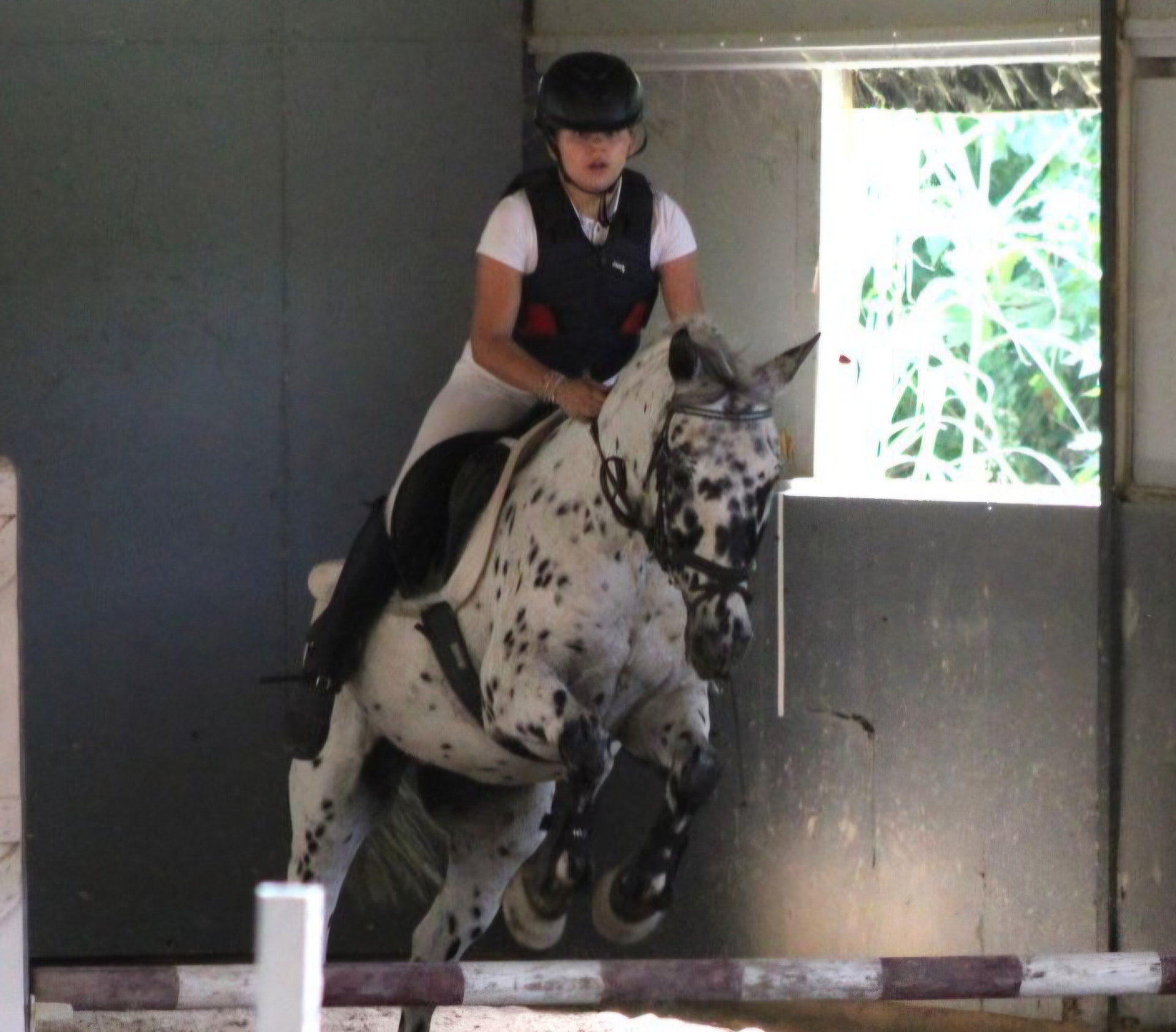 Salto de obstáculos 3
